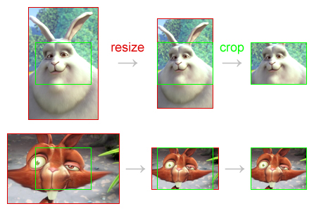 امکان crop-resize برای عکس ها